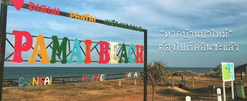 ซัมเมอร์นี้ต้องไปทะเล ภาค2